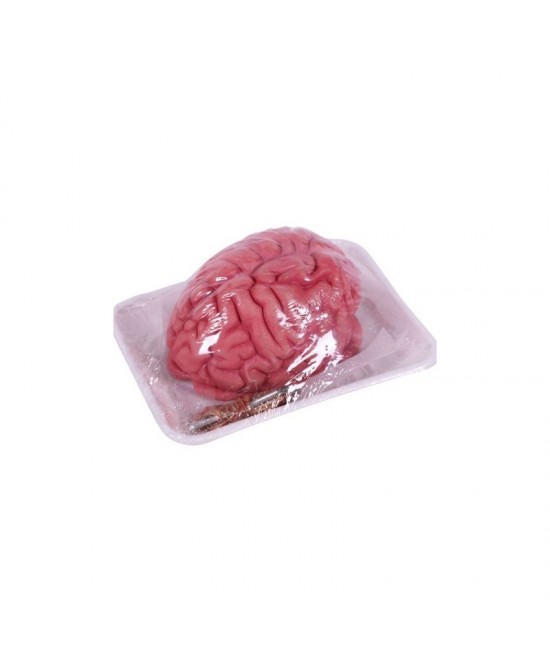 Cerebro en bandeja 16x20 cm
