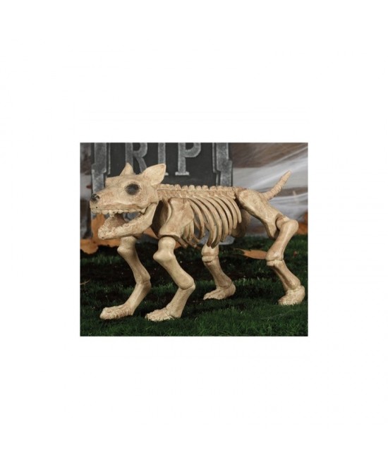 Esqueleto de perro 46 cm