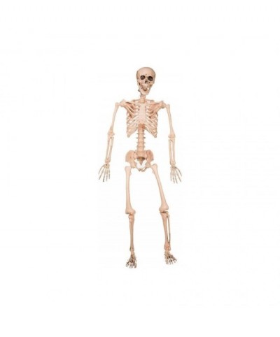 Esqueleto decoración 120 cm