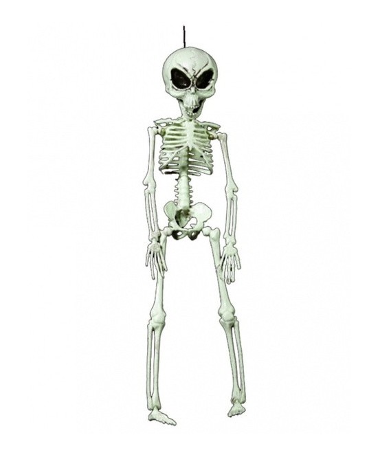 Esqueleto Alien 40 cms.