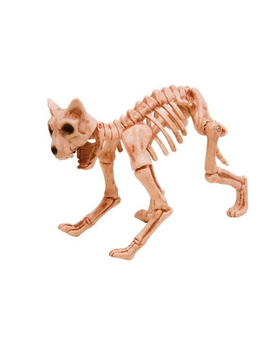 Esqueleto Gato 36x17x22cms