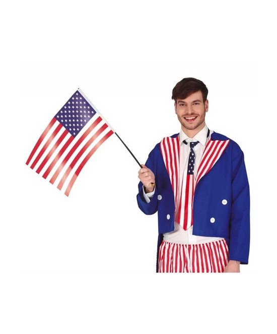 Bandera americana con palo...