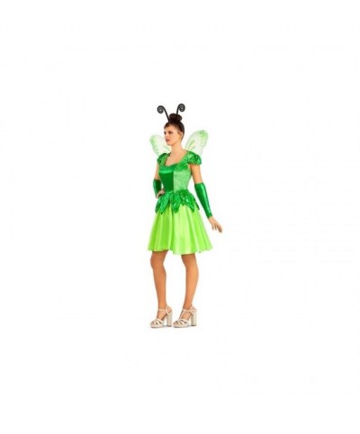 Disfraz Hada verde con alas para mujer