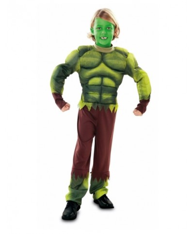 Disfraz Monstruo verde  infantil