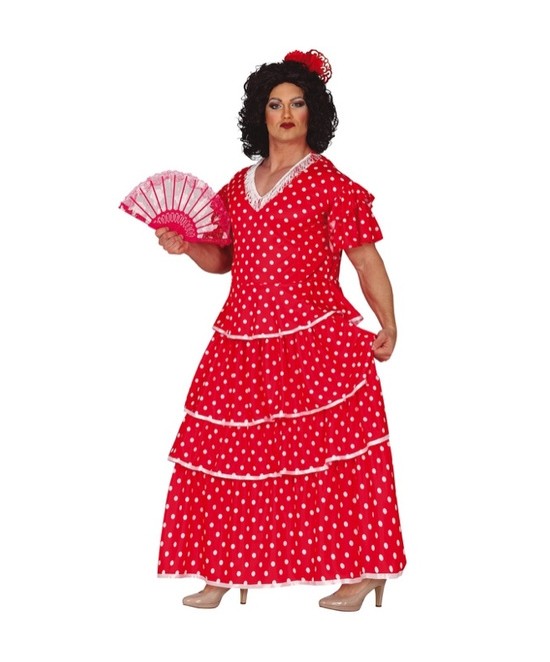Flamenco Boy Adulto
