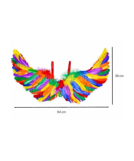 Alas plumas multicolor 38x64 cms