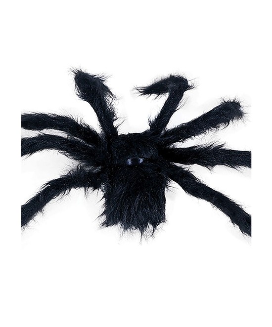 Araña Negra 50 cm