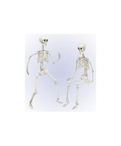 Esqueleto articulado 90 cms.