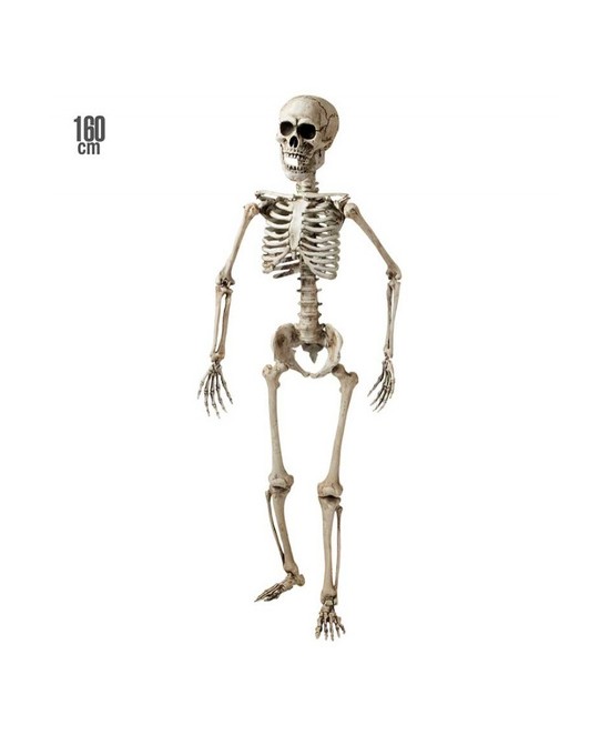 Esqueleto articulado 160 cms.deluxe