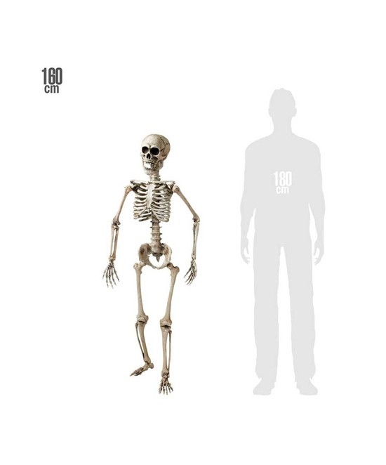 Esqueleto articulado 160 cms.deluxe