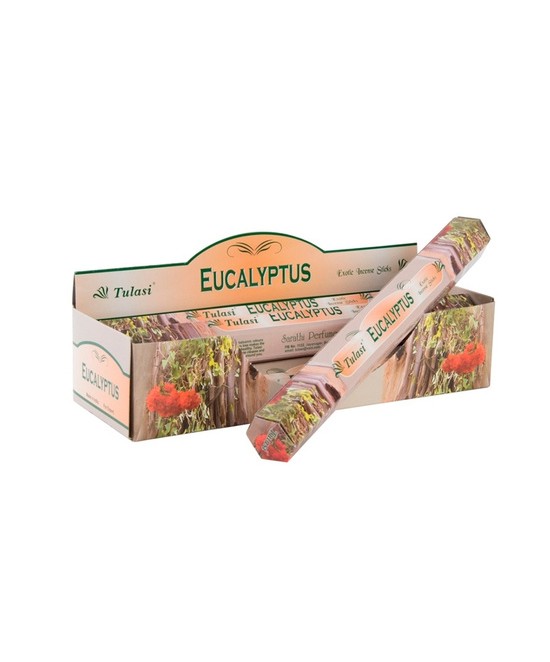 Incienso varilla set 20 aroma Eucalipto