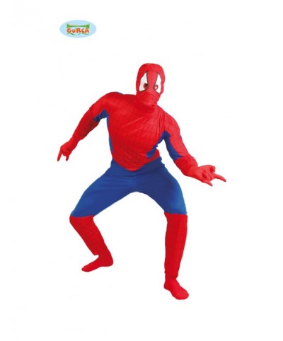 Disfraz Super Héroe  Adulto