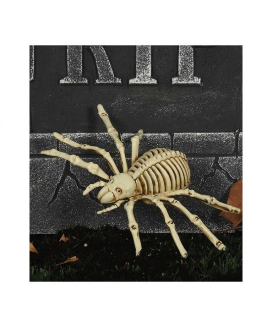 Esqueleto Araña 24 cm
