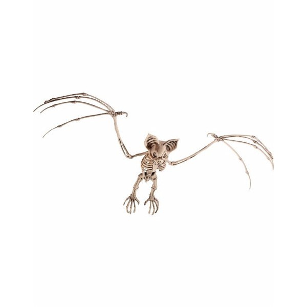 Esqueleto de Murciélago ( 7x32x72cm )